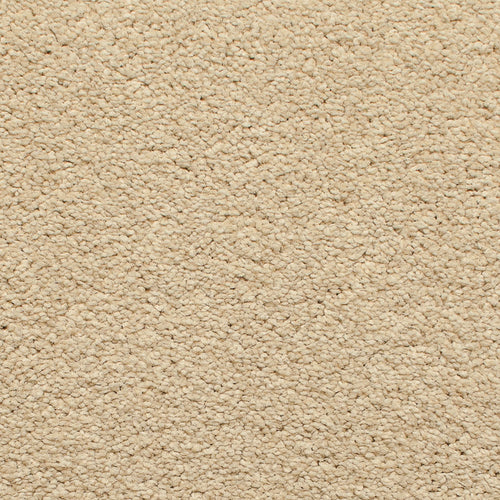 Limestone Satisfaction Regency Carpet