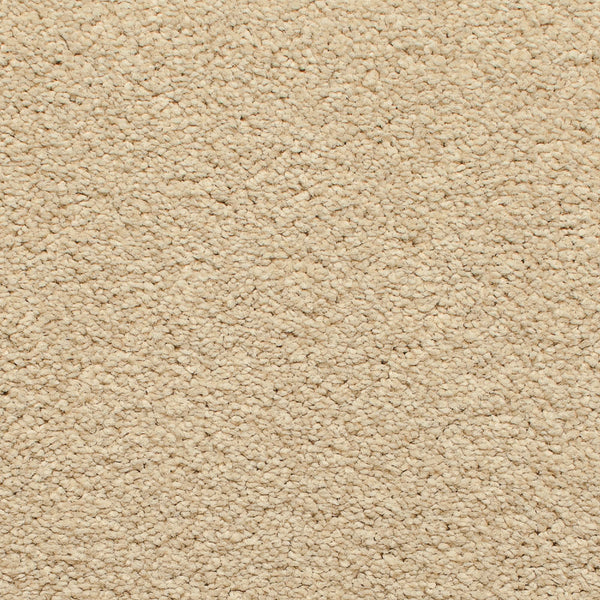 Limestone Satisfaction Regency Carpet