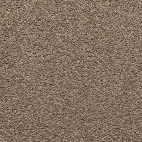 Calcite Satisfaction Regency Carpet
