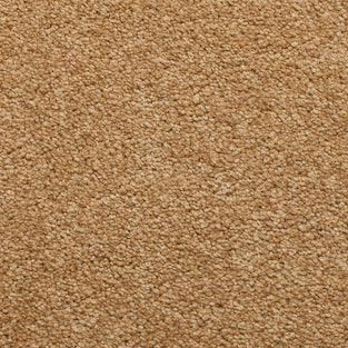 Sandstone Satisfaction Regency Carpet