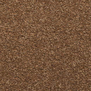Lava Satisfaction Regency Carpet