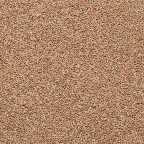 Quartz Satisfaction Regency Carpet