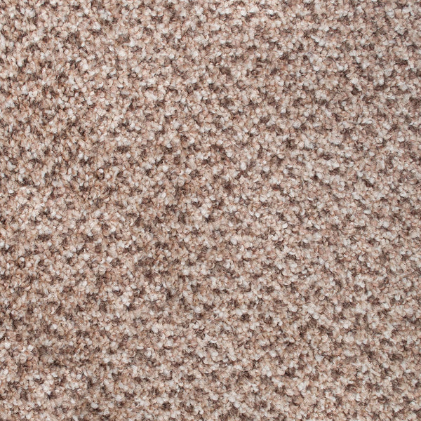Ettrick 39 Stainaway Tweed Carpet