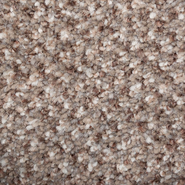 Trummel 46 Stainaway Tweed Carpet