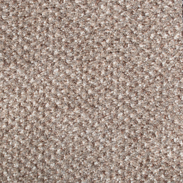 Trummel 46 Stainaway Tweed Carpet