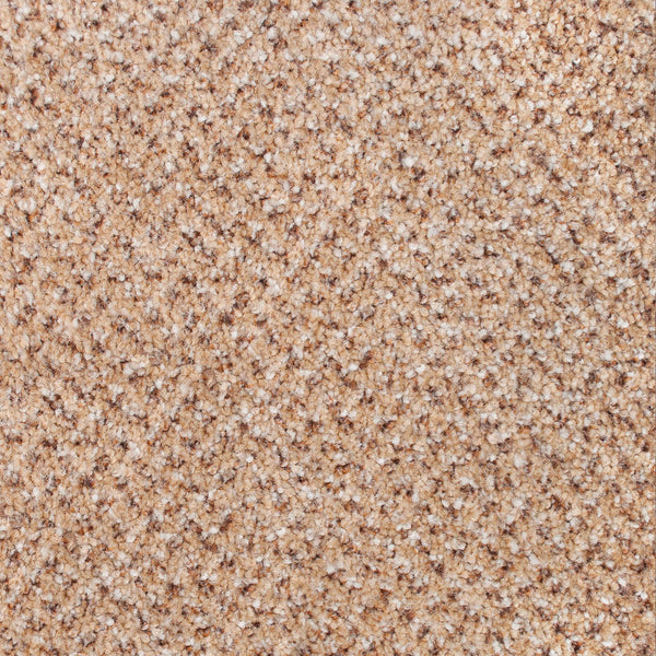 Carron 50 Stainaway Tweed Carpet