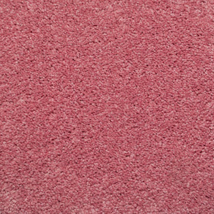 Pink Charm Saxony Carpet