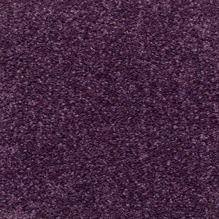 Purple Charm Saxony Carpet