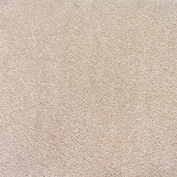 Gucci 30 Scorpius Invictus Carpet