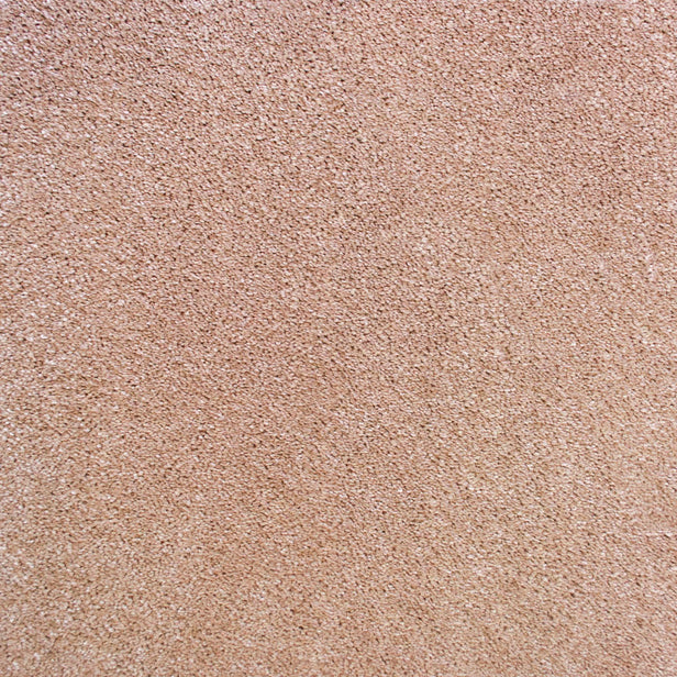 Kenzo 33 Scorpius Invictus Carpet