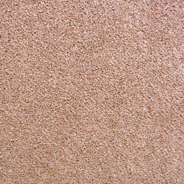 Kenzo 33 Scorpius Invictus Carpet