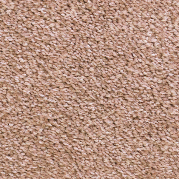 Kenzo 33 Scorpius Invictus Carpet