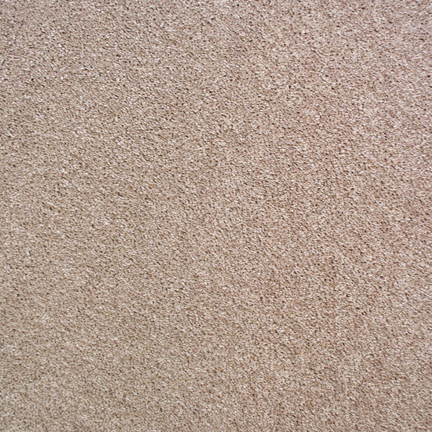 Prada 39 Scorpius Invictus Carpet