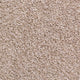Prada 39 Scorpius Invictus Carpet