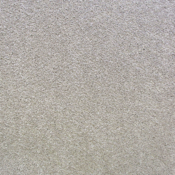 Revlon 90 Scorpius Invictus Carpet