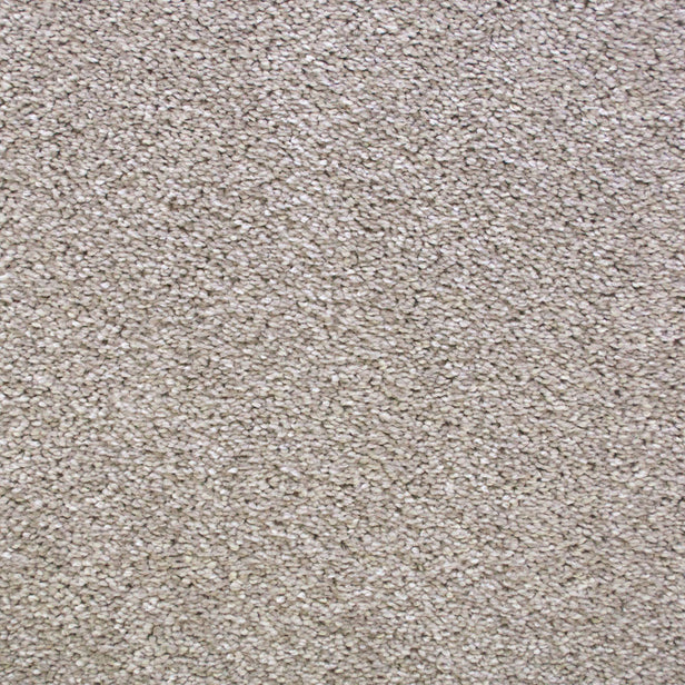 Revlon 90 Scorpius Invictus Carpet