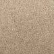 Seal Brown 700 Lothian Wool Berber Carpet