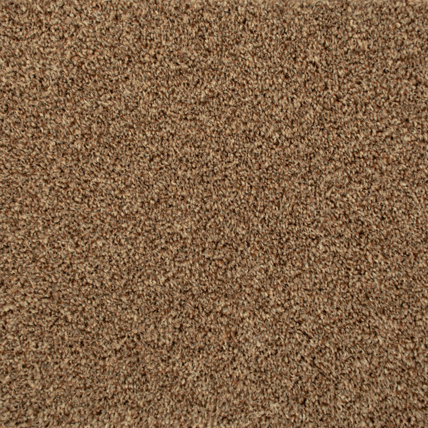 Seal Brown 875 Noble Heathers Saxony Carpet