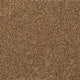 Seal Brown 875 Noble Heathers Saxony Carpet
