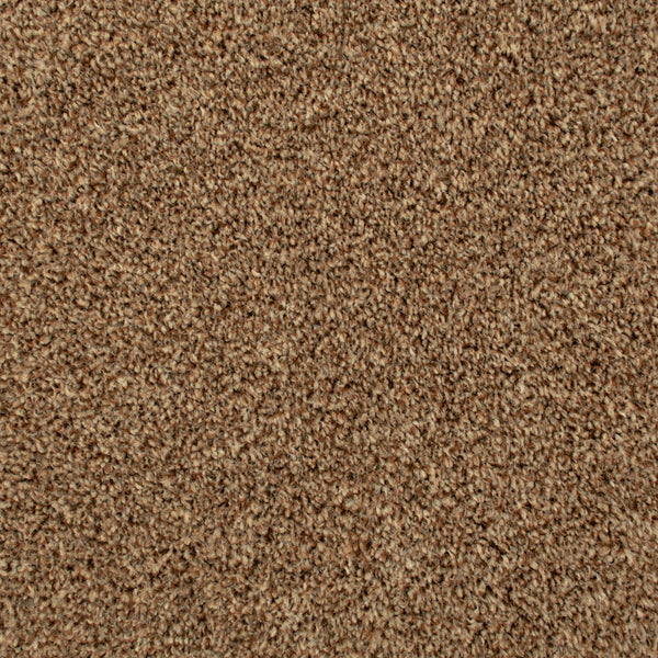 Seal Brown 875 Noble Heathers Saxony Carpet