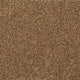 Seal Brown 875 Noble Heathers Saxony Feltback Carpet