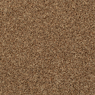 Seal Brown 875 Noble Heathers Saxony Feltback Carpet