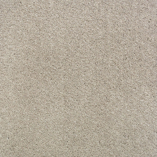 Seashell 680 Sarabi Carpet