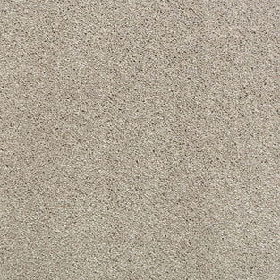 Seashell 680 Sarabi Carpet