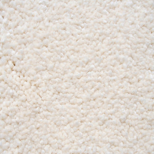 Polar White Sensation Original 60oz Carpet by Cormar