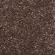 Sepia Sensation Twist Carpet