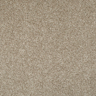 Sesame Seed 35 Temptation Carpet