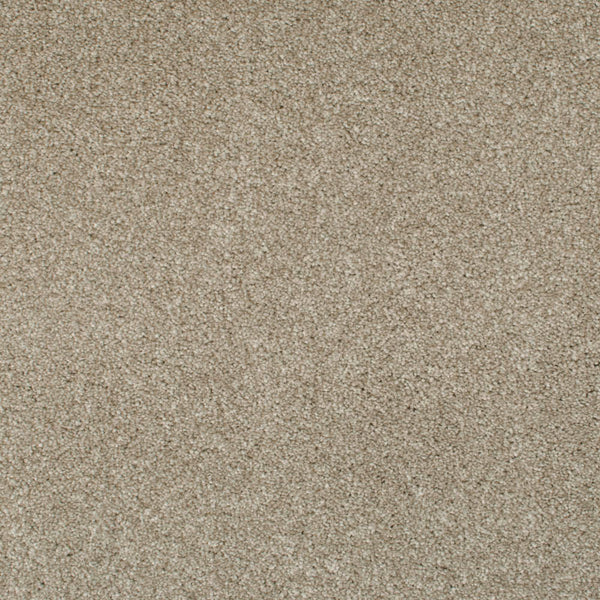 Sesame Seed 35