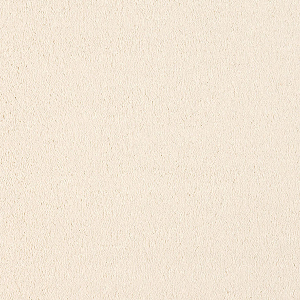 Sensit Supreme Carpet