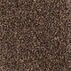 Shadow Brown 49 Inspire Saxony Carpet