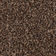 Shadow Brown 49 Inspire Saxony Carpet