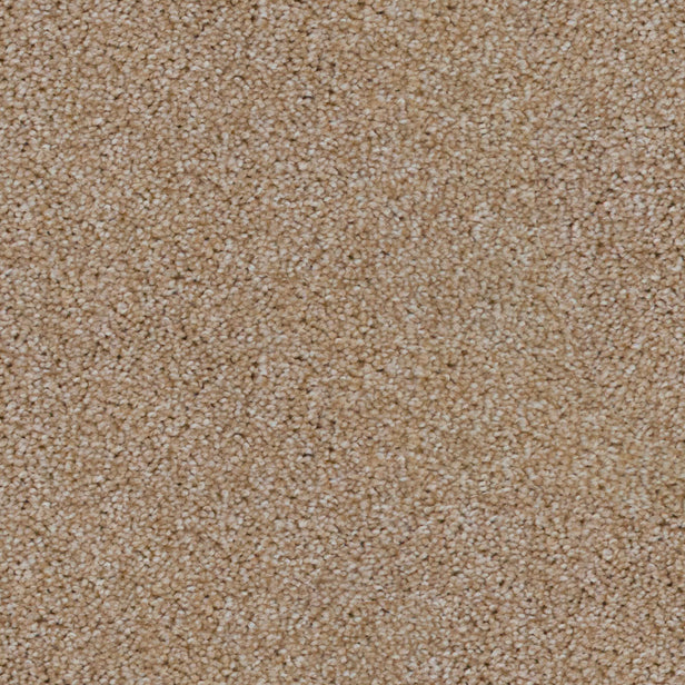 Sierra Snow 665 Saxon King Saxony Carpet