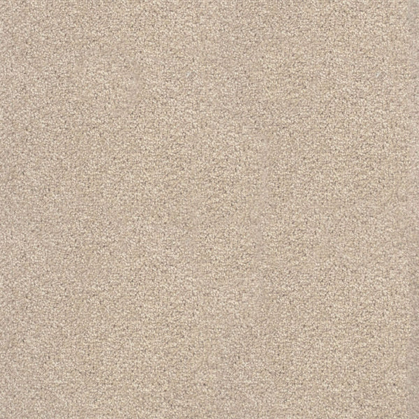 Sierra Snow
