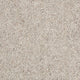Silver Plume 905 Woolmaster Twist Deluxe Carpet