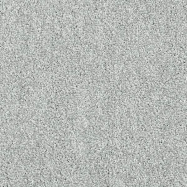 Light Grey 915 Splendid Saxony Actionback Carpet