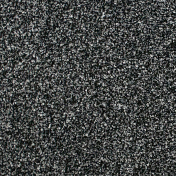 Grey Black 995 Splendid Saxony Actionback Carpet