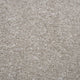 Light Grey 47 Splendour iSense Carpet