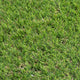 Sprucepark 25mm Artificial Grass 5m