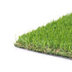 Sprucepark 25mm Artificial Grass 5m