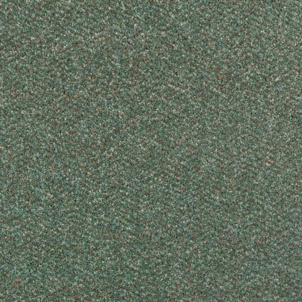 Fern Stainfree Berber Deluxe Carpet