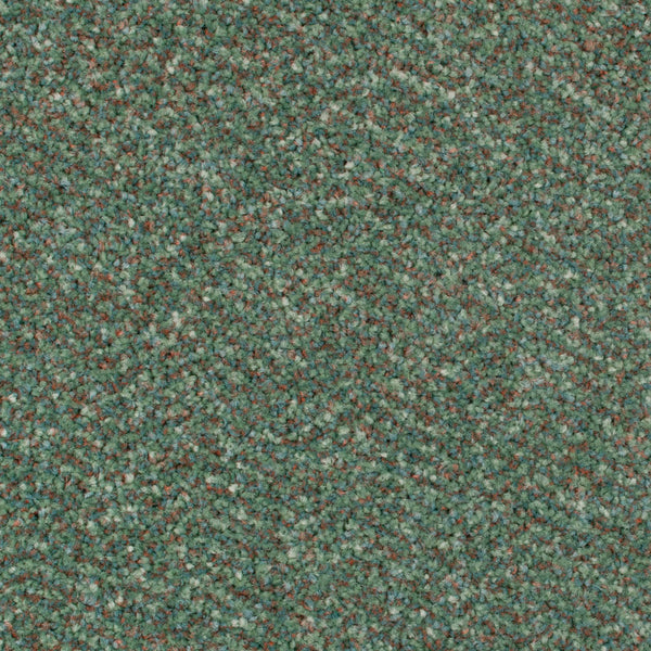 Fern Stainfree Berber Deluxe Carpet