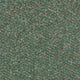 Fern Stainfree Berber Deluxe Carpet