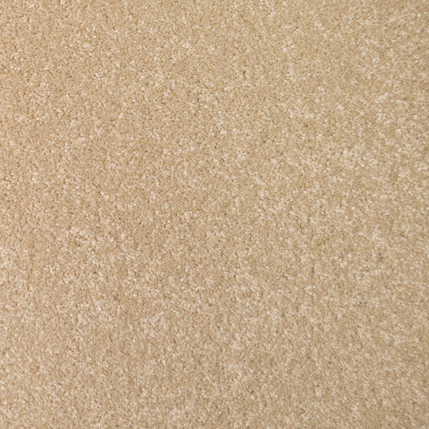 Nutmeg 30 StainGuard Saxony Carpet