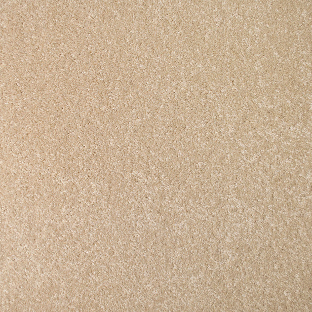 Nutmeg 30 StainGuard Saxony Carpet
