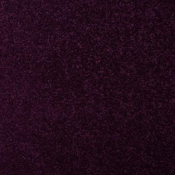 Raspberry 12 StainGuard Saxony Carpet Buy Associated Weaver Carpet