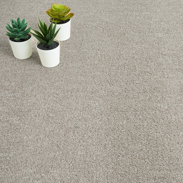 Grey Beige Star Loop Carpet Star Loop Carpets Online Carpets